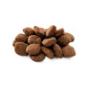 Croquettes pour chien adulte Premium agneau & riz 15kg - BRIT - B50