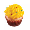 Jouet pour chien Vinyl couineur cupcake 8cm - VADIGRAN - VAD-14017