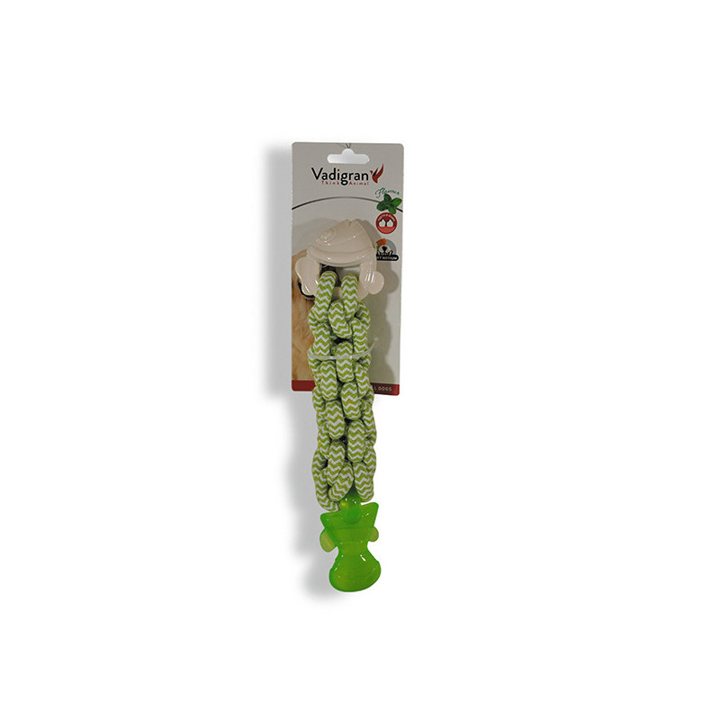 Jouet pour chien TPR verrouillable poisson saveur menthe 28cm Vert/Blanc - VADIGRAN - VAD-14077