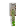 Jouet pour chien TPR verrouillable poisson saveur menthe 28cm Vert/Blanc - VADIGRAN - VAD-14077