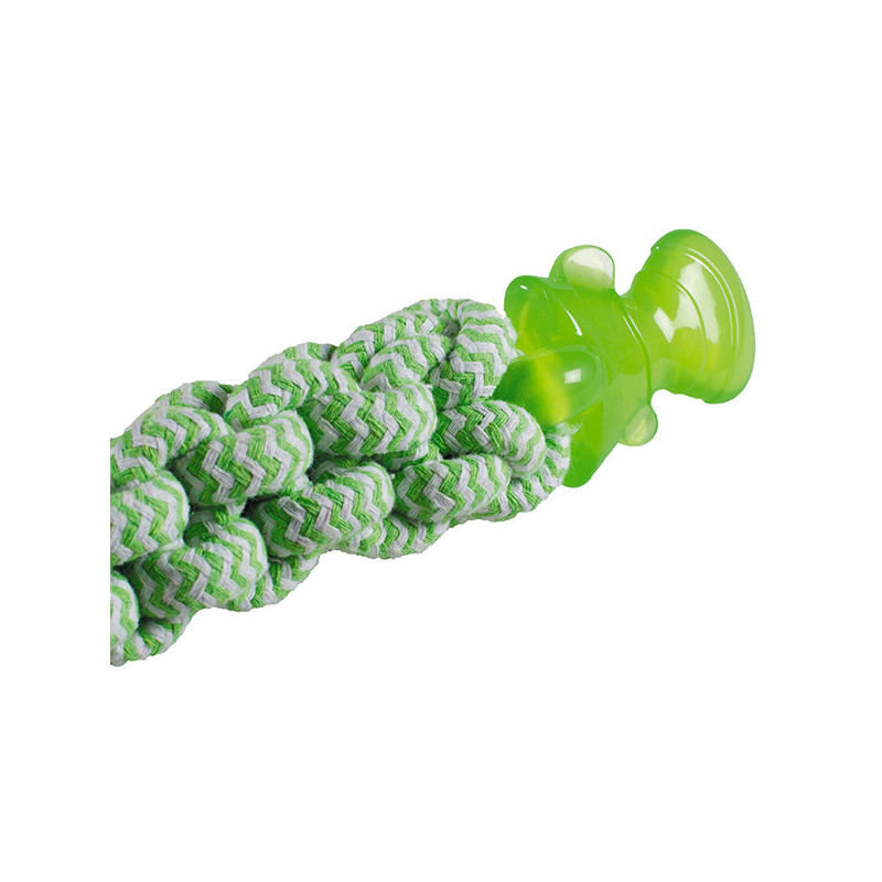 Jouet pour chien TPR verrouillable poisson saveur menthe 28cm Vert/Blanc - VADIGRAN - VAD-14077