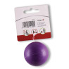 Jouet pour chien balle caoutchouc Ø5cm Violet - VADIGRAN - VAD-14192