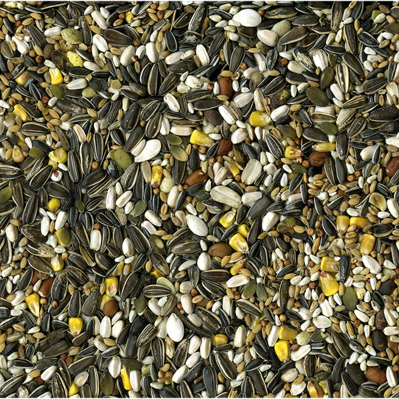 Mélange de graines & céréales pour Perroquet Original 2,5Kg - VADIGRAN - VAD-452
