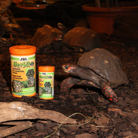 Aliment végétal pour tortues terrestre Herbil 1L - JBL - JBL-7045380