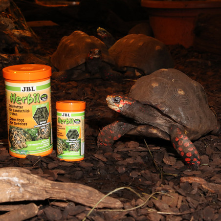 Aliment végétal pour tortues terrestre Herbil 1L - JBL - JBL-7045380