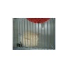 Bourre nid Sharpi de Coton 150g Blanc - BENELUX - BEN-14548