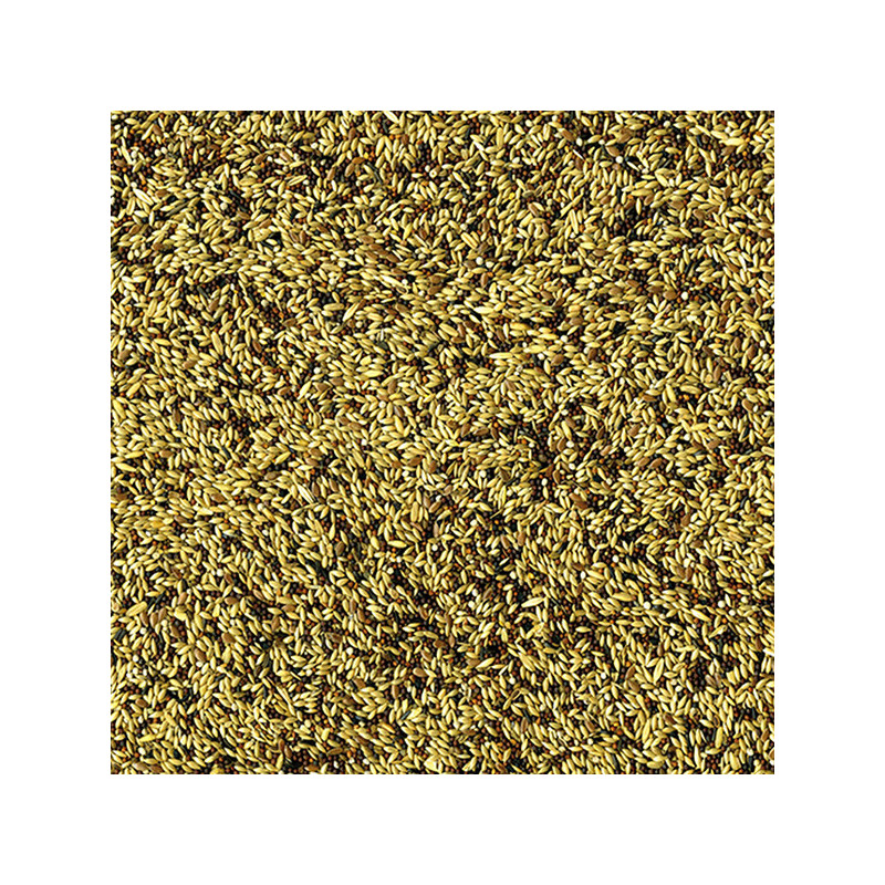 Mélange de graines pour Canaris 1kg - VADIGRAN - VAD-131