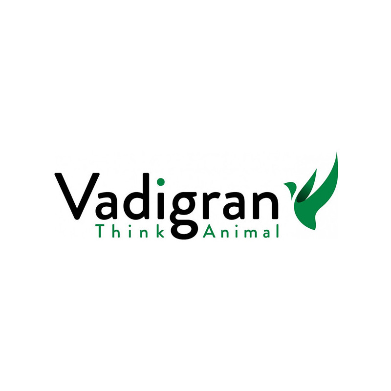 Mélange de graines pour Canaris 1kg - VADIGRAN - VAD-131