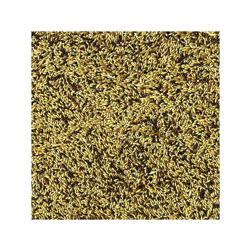 Mélange de graines pour Canaris 4kg - VADIGRAN - VAD-132
