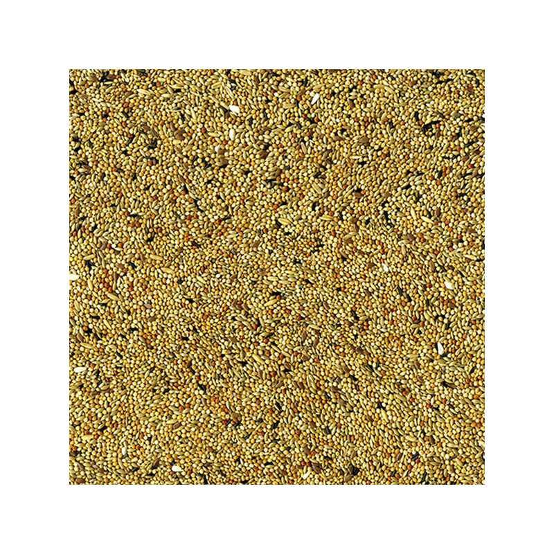 Mélange de graines & céréales pour Perruches 1kg - VADIGRAN - VAD-171