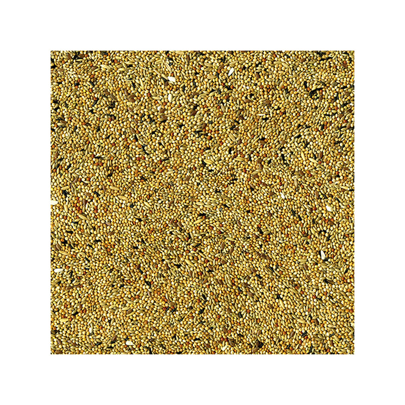 Mélange de graines & céréales pour Perruches 4kg - VADIGRAN - VAD-172