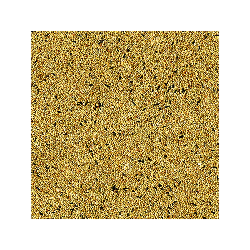 Mélange de graines pour Oiseau tropical exotiques 1kg - VADIGRAN - VAD-271