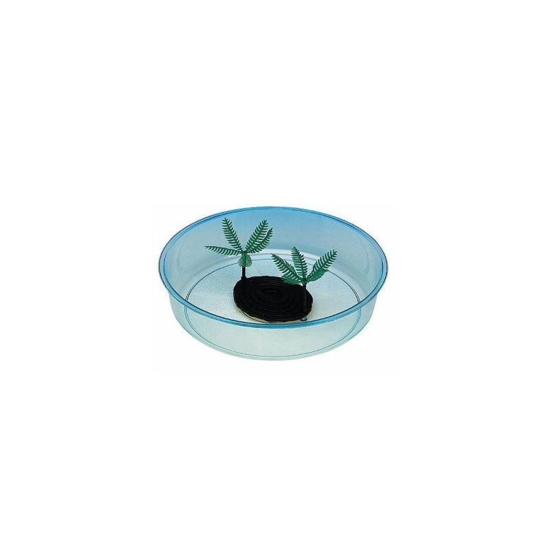 Terrarium pour tortues Ponza 35x9cm - MARCHIORO - MCO-PON2CHI