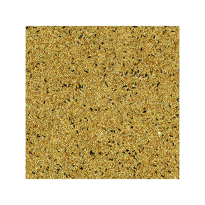 Mélange de graines pour Oiseau tropical exotiques 4kg - VADIGRAN - VAD-272