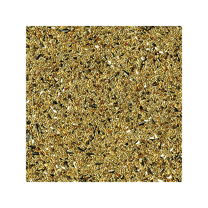 Mélange de graines & céréales pour grandes perruches 1kg - VADIGRAN - VAD-401