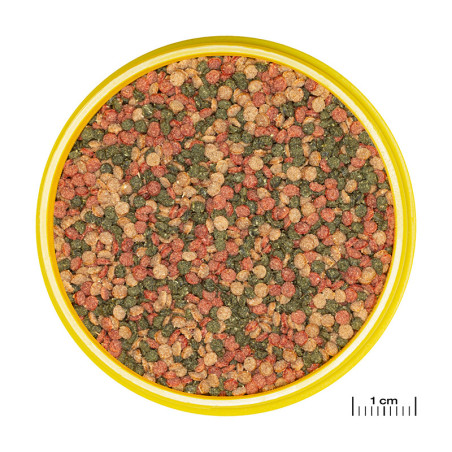 Granulés pour poissons d'aquarium M 250mL - JBL  ProNovo Bel Grano