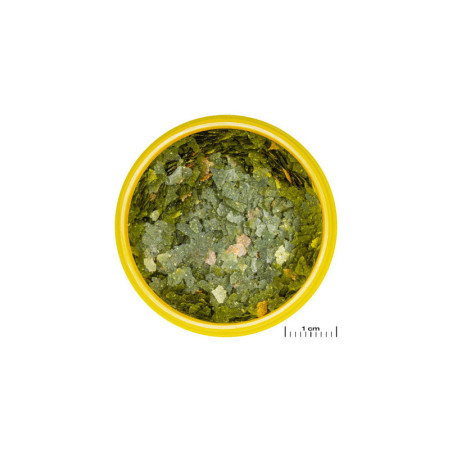 Flocons de base pour ovovivipares Pronovo Guppy Flakes S 100mL - JBL - JBL-3115800