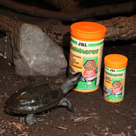 Friandises pour tortues d'eau Gammarus 250ml - JBL 
