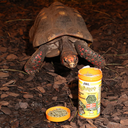 Aliment de base pour tortues terrestres Agivert 1L - JBL 