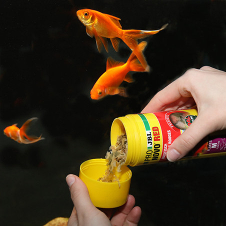 Aliment de base en flocons tous poissons Pronovo Bel Flakesm 250ml - JBL - JBL-3110500