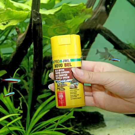 Aliment de base en flocons tous poissons XXS 100ml - JBL Pronovo Bel Grano