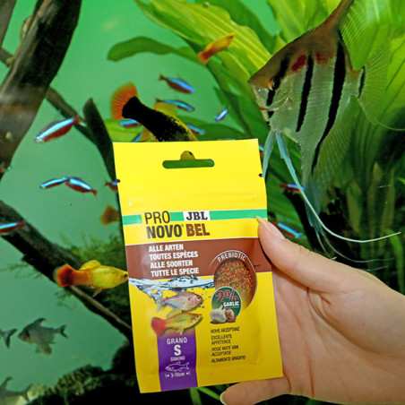 Aliment de base en granulés tous poissons Pronovo Bel Grano S 20ml - JBL - JBL-3111500