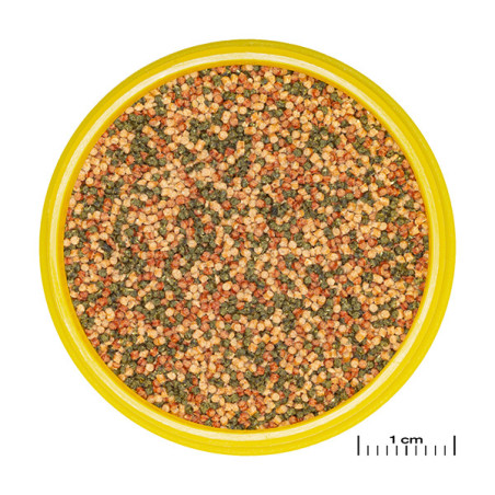 Granulés tous poissons S 100ml - JBL Pronovo Bel Grano 