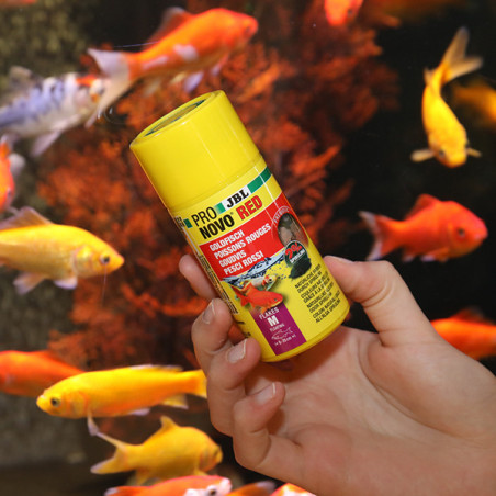 Aliment de base en flocons pour poissons rouges 250ml - JBL Pronovo Red Flakesm