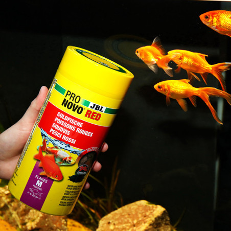 Aliment de base en flocons pour poissons rouges M 1L - JBL Pronovo Red Flakesm