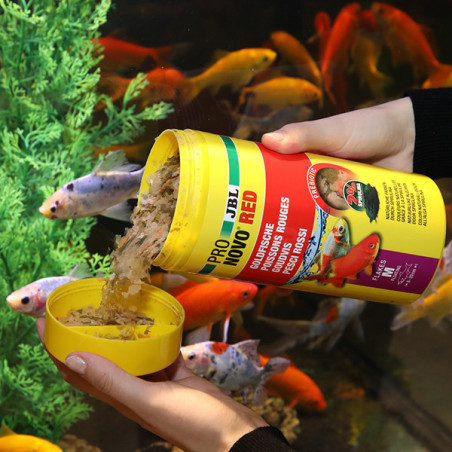 Aliment de base en flocons pour poissons rouges M 1L - JBL Pronovo Red Flakesm