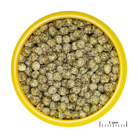 Granulés pour poissons rouges M 250ml - JBL Pronovo Red Grano