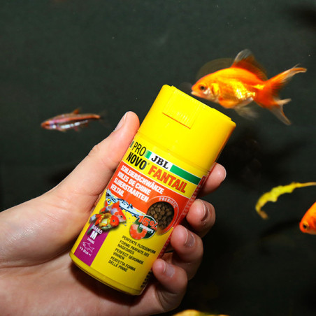 Granulés pour poissons rouges/Voiles de Chine 100ml M - JBL Pronovo Fantail Grano