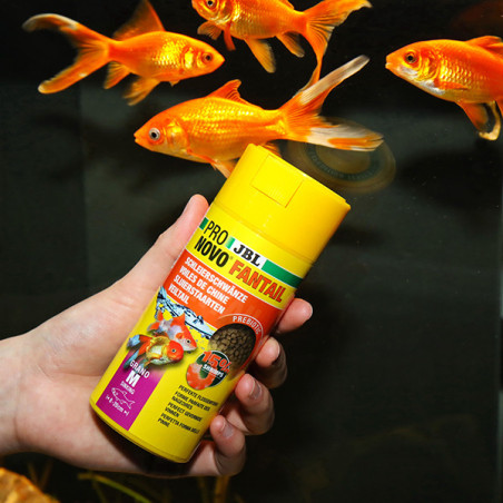 Granulés pour poissons rouges/Voiles de Chine 250ml M - JBL Pronovo Fantail Granom 
