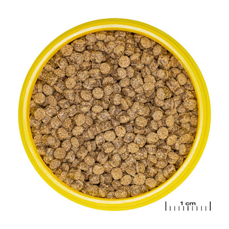 Granulés pour poissons rouges/Voiles de Chine 1L - JBL Pronovo Fantail Granom
