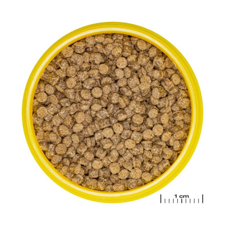 Granulés pour poissons rouges/Voiles de Chine 100ml M - JBL Pronovo Fantail Grano