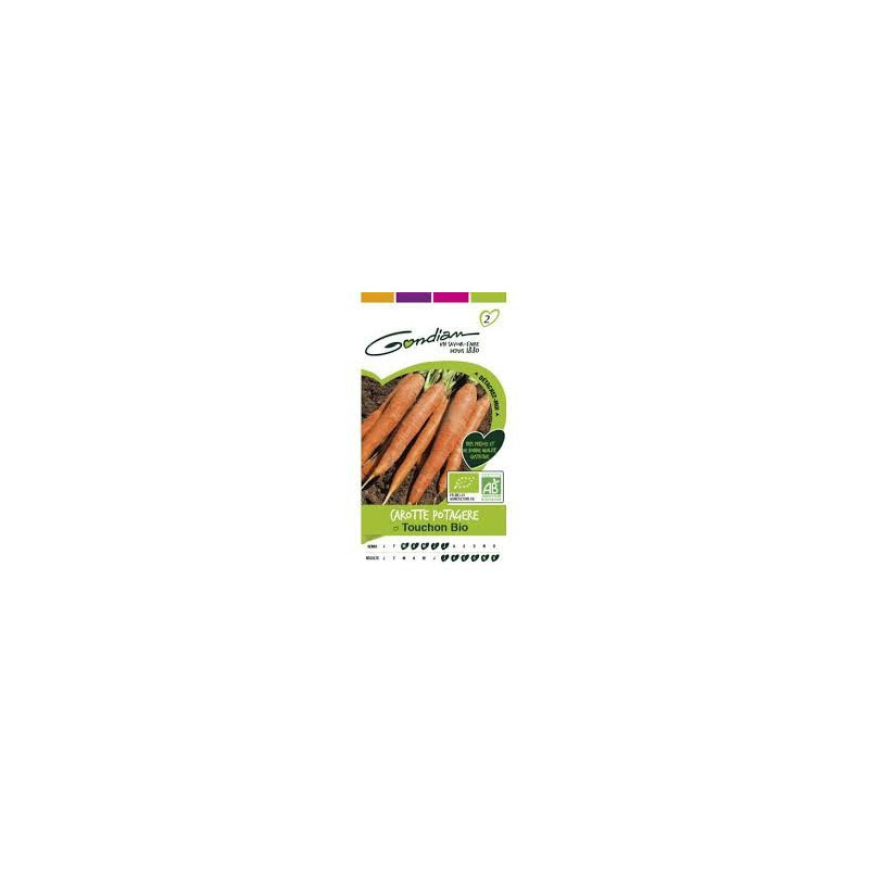Carotte Touchon BIO