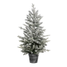 Sapin en pot Frosty 100cm