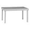 Table de jardin extensible - Piazza - HESPERIDE - Gris clair - 10 personnes