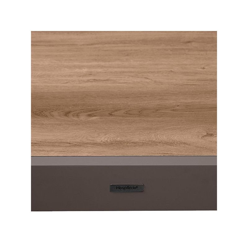 Table de jardin extensible Piazza 10 places houblon/tonka