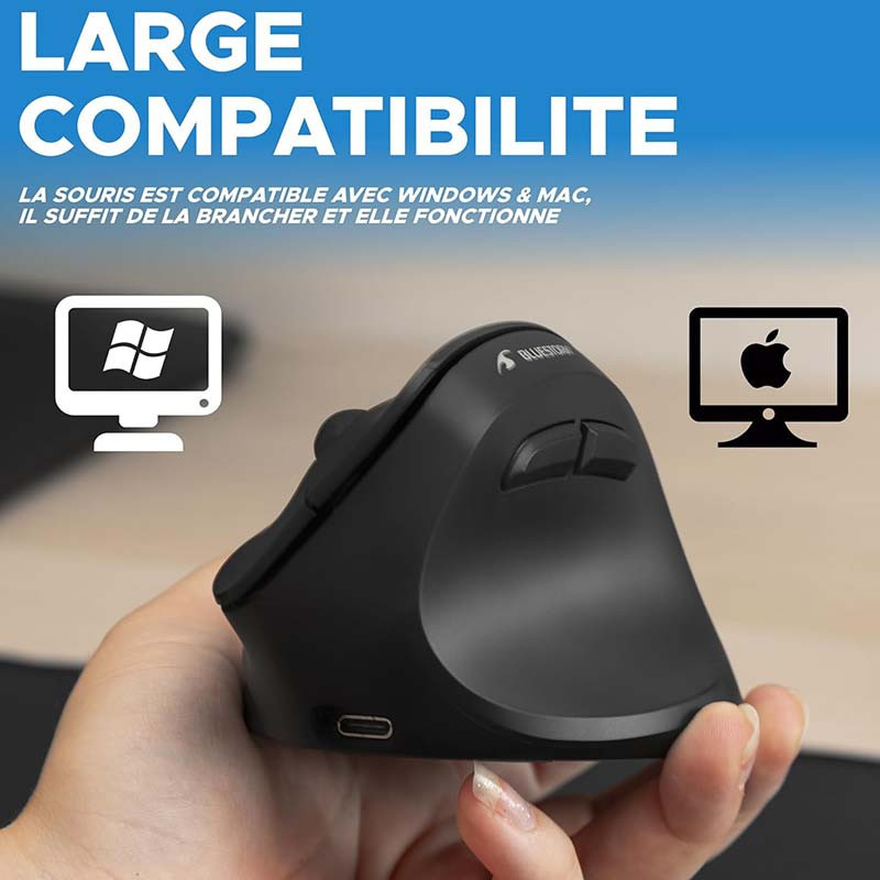 Souris sans fil Ergonomique et verticale 800-2400DPI RGB Noir - BLUESTORK - BS_M_WL_ERGO_LUMI
