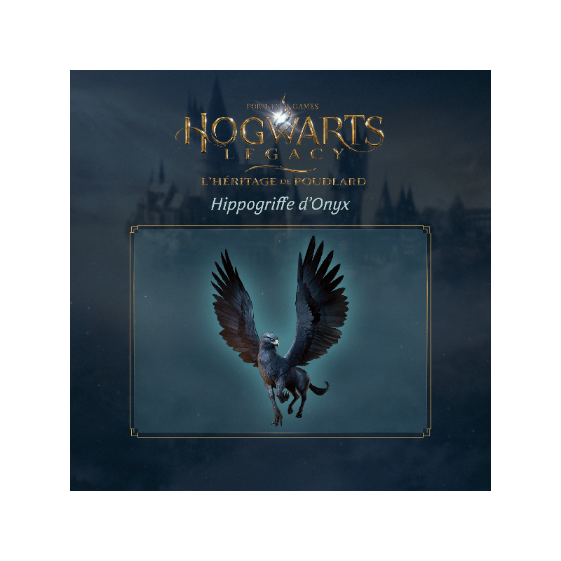 Jeu Switch Hogwarts Legacy : L'Héritage De Poudlard - Comme Neuf