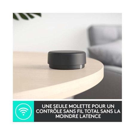 Haut-parleurs pour ordinateur Z407 avec caisson de basses et commande sans fil Noir - LOGITECH - LOG_980-001348