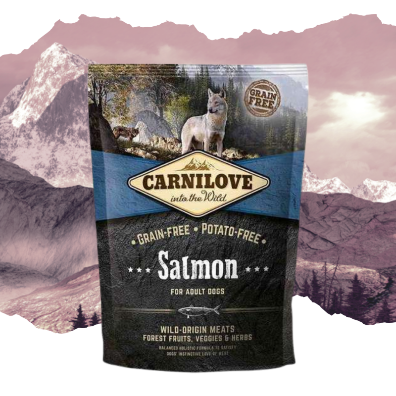 Croquettes pour chien adulte au saumon 1,5kg - CARNILOVE 