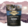 Croquettes pour chien adulte au saumon 1,5kg - CARNILOVE 