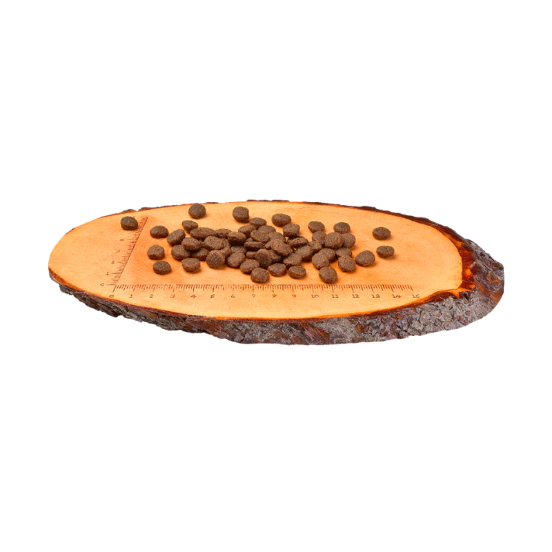 Croquettes pour chiot au saumon et agneau 1,5kg - CARNILOVE 