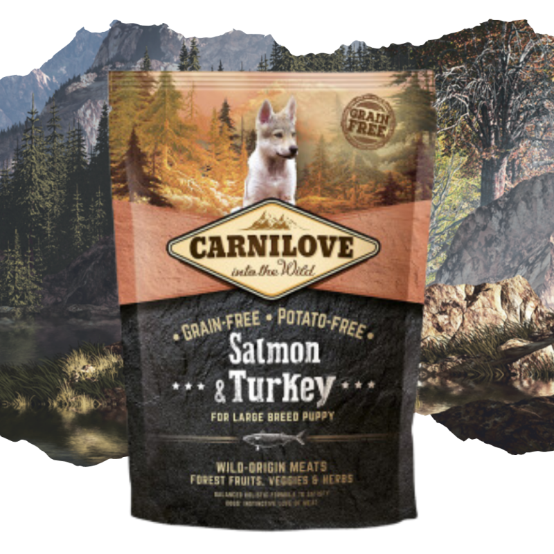 Croquettes pour chiot large au saumon et dinde 1,5kg - CARNILOVE 