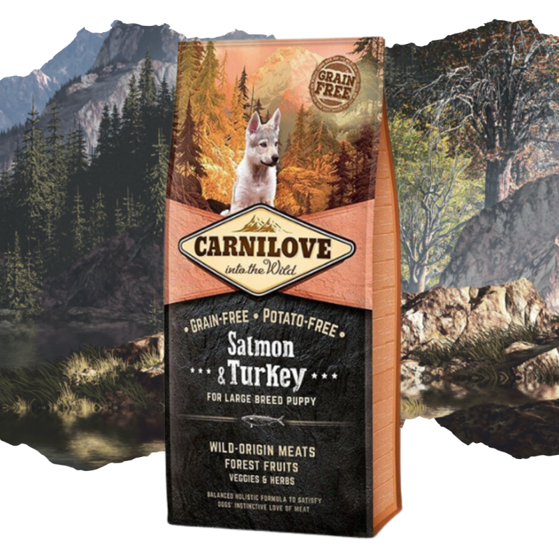 Croquettes pour chiot grande race au saumon & dinde 12kg - CARNILOVE