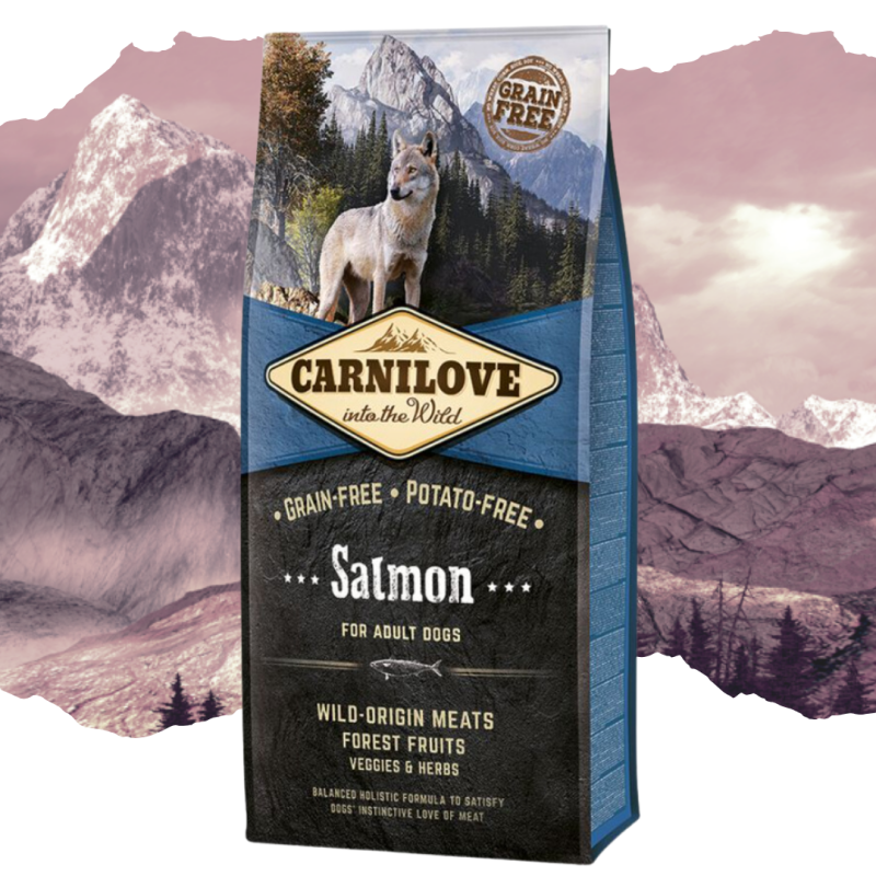 Croquettes pour chien adulte au saumon 12kg - CARNILOVE 