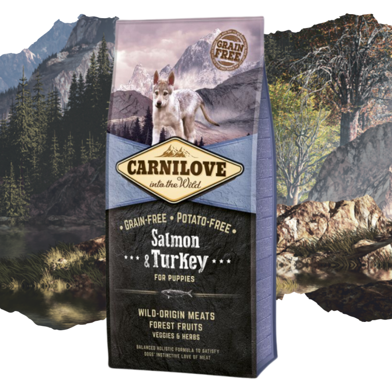 Croquettes pour chiot au saumon & dinde 12kg - CARNILOVE