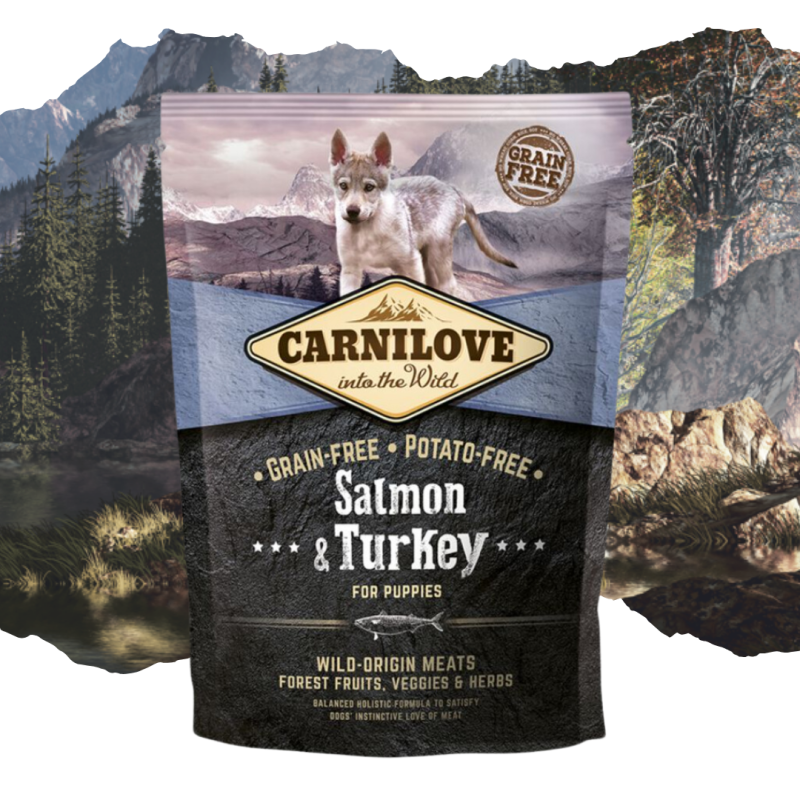 Croquettes pour chiot au saumon et agneau 1,5kg - CARNILOVE 